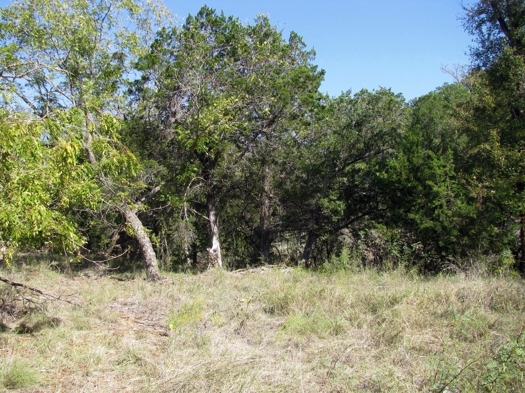 Picture 6