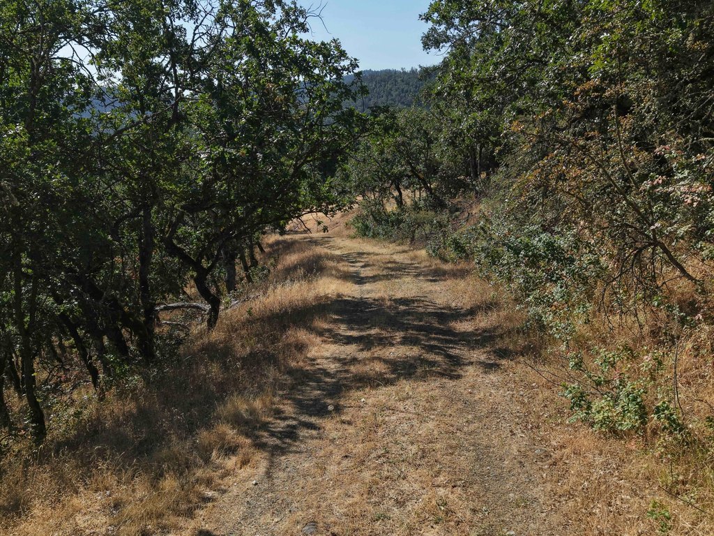 Picture 9