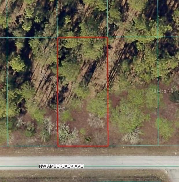 Cleared Lot Near Rainbow River