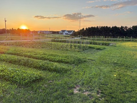 Agricultural Land with Pond Backdrop