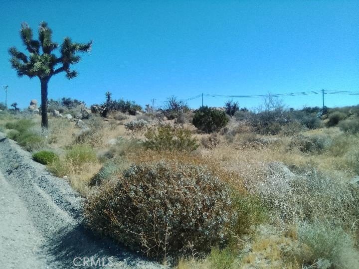 Picture 5