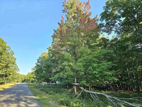 Wooded Lot in Royal Oak