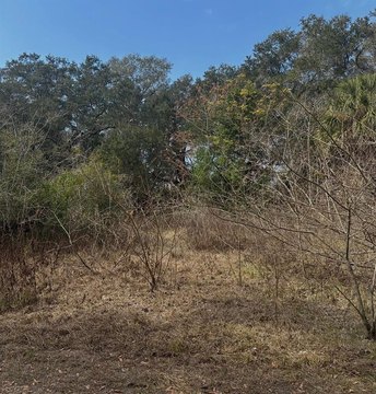 Spacious Vacant Lot Opportunity