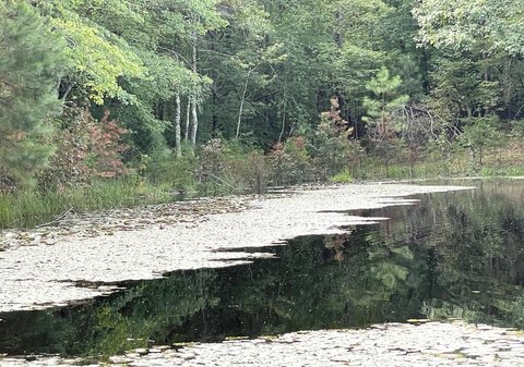 Land, Keysville, VA