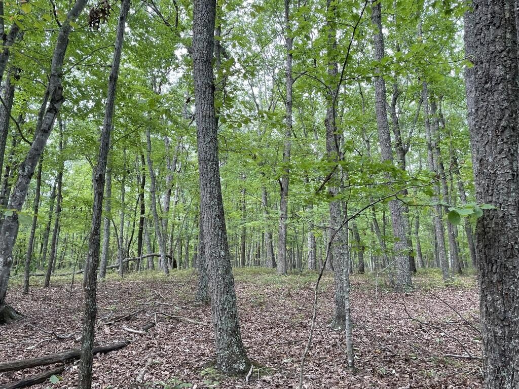 Picture 28