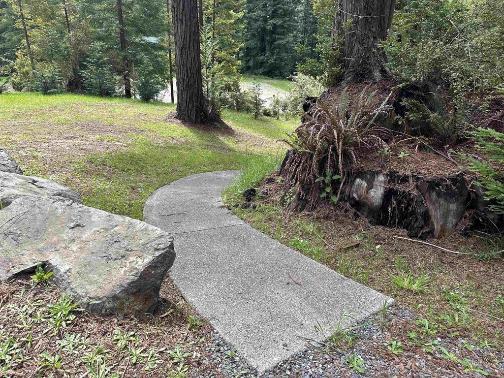 Picture 16