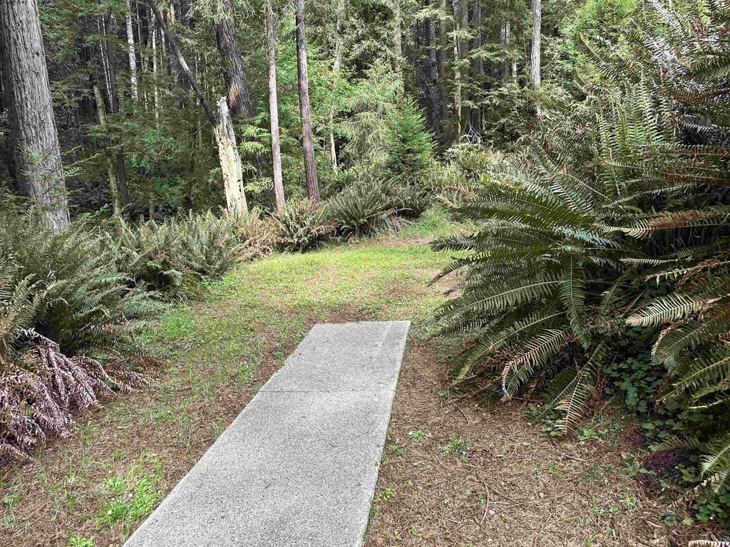 Picture 24