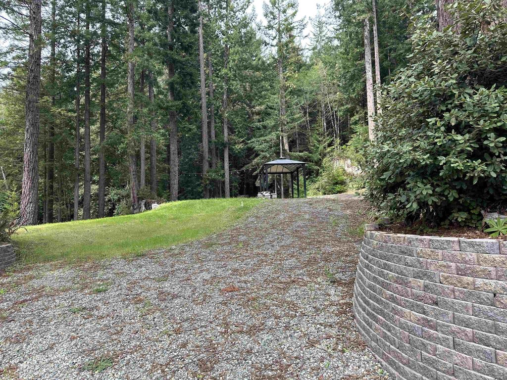 Picture 8