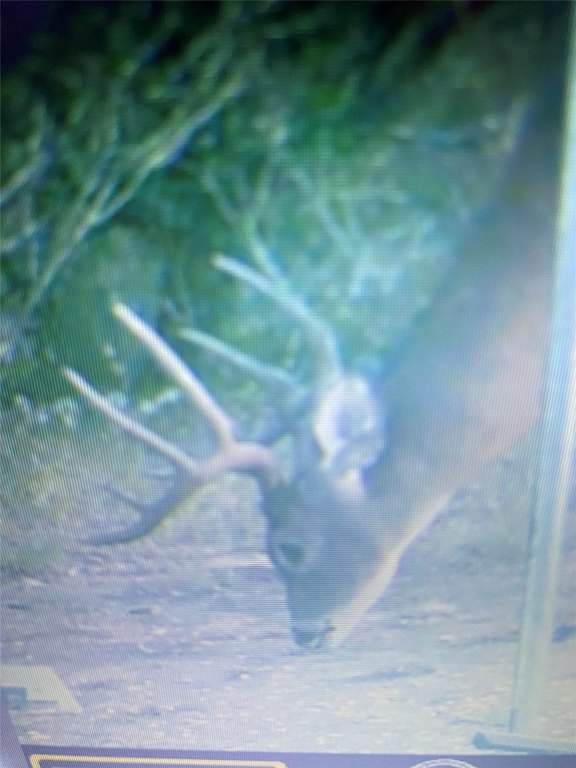 Picture 7