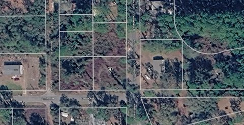 Land, PAISLEY, FL