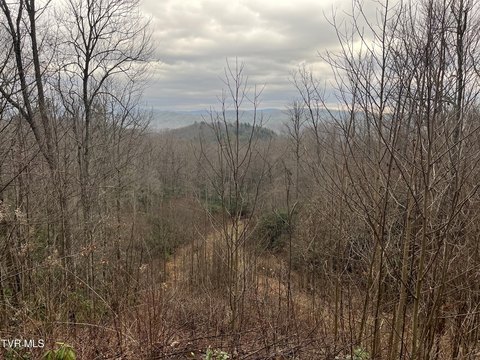 Secluded Mountain Land with Views