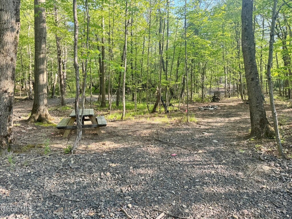 Picture 14