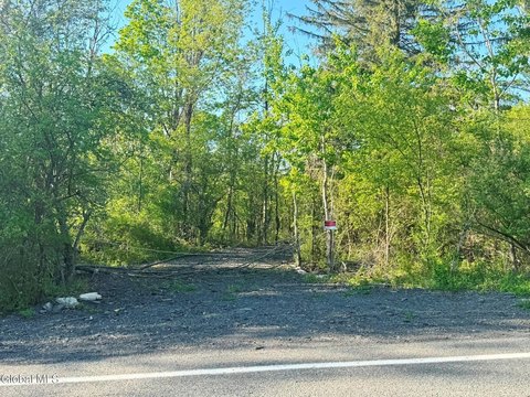 LAND - Voorheesville, NY
