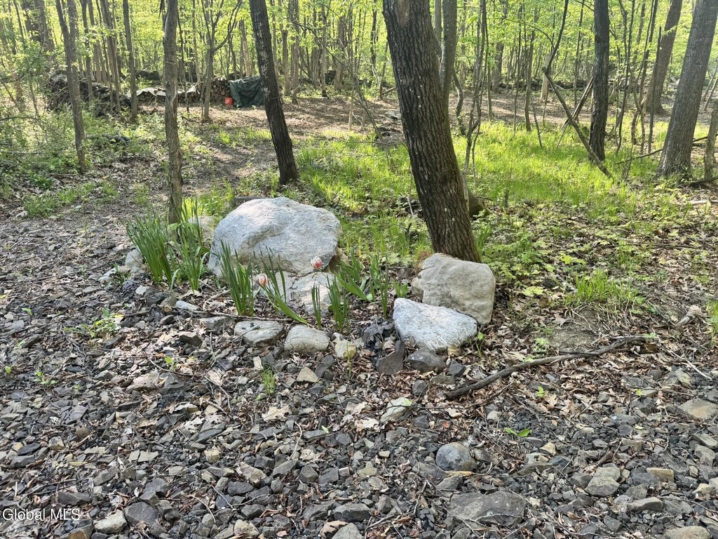 Picture 12