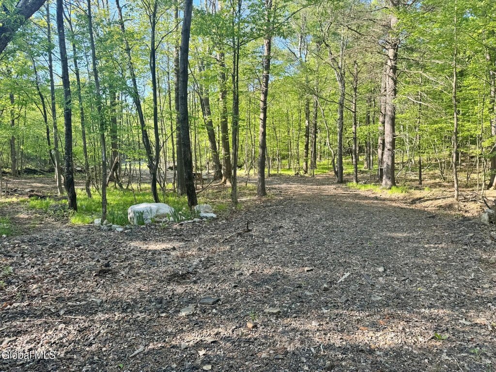Picture 11
