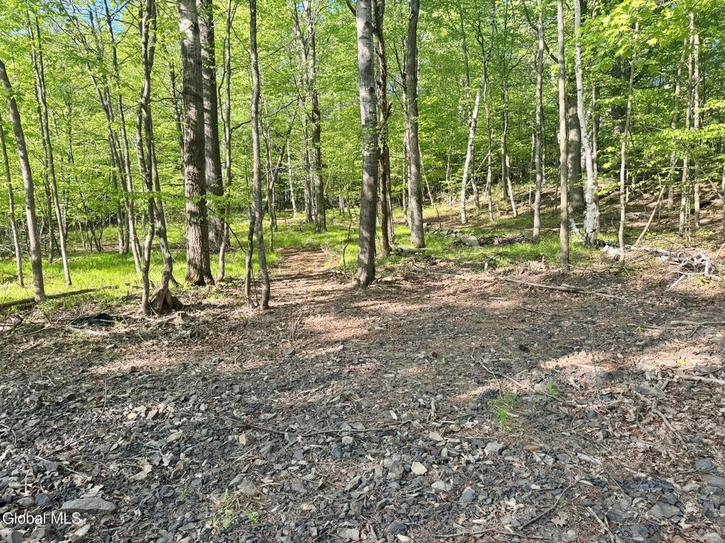 Picture 13