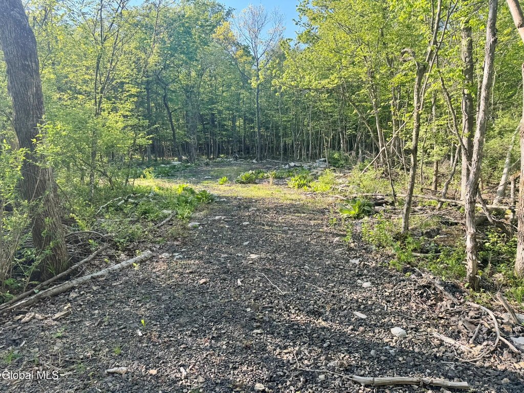 Picture 15