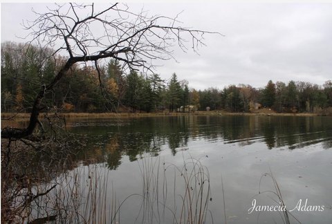 Land on All-Sports Lake