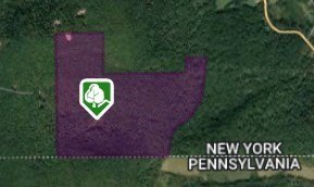 138+ Acre Wooded Windsor Lot