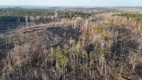 70.1 Acres Hunting and Recreation