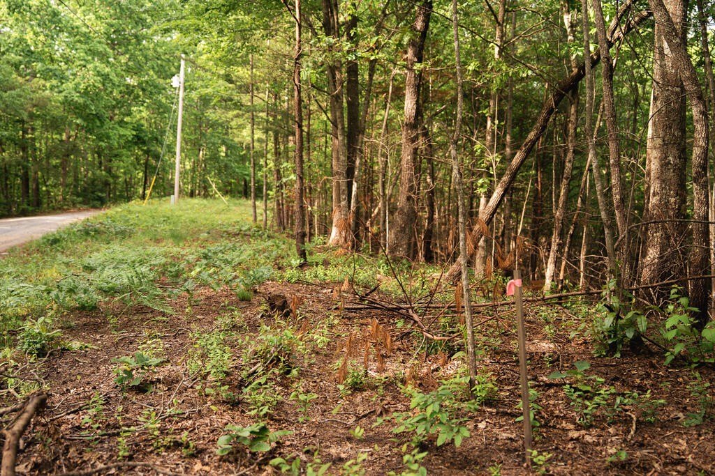 Picture 19