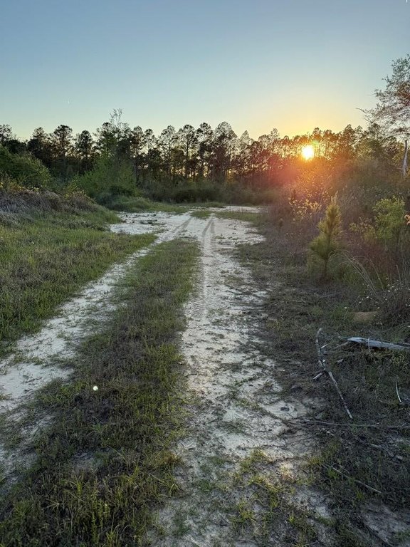 Picture 6