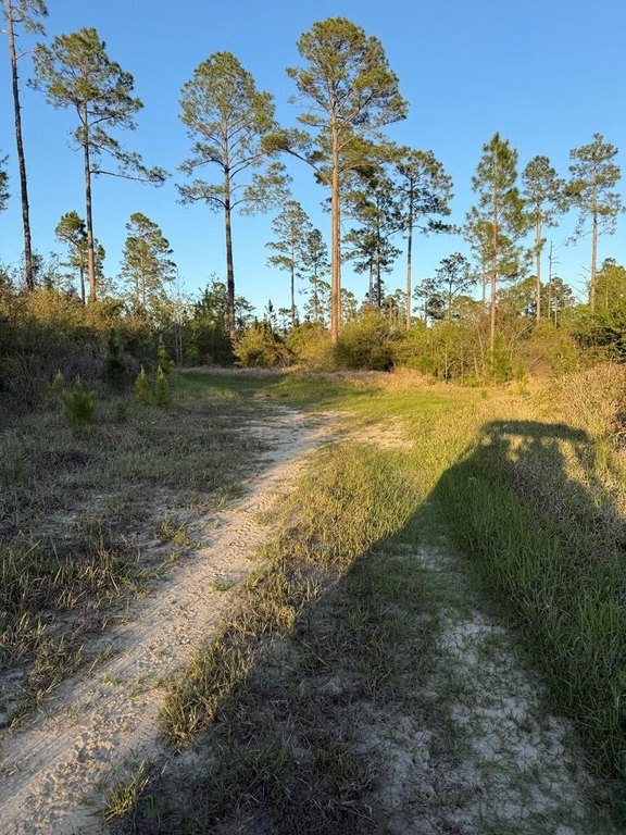 Picture 10