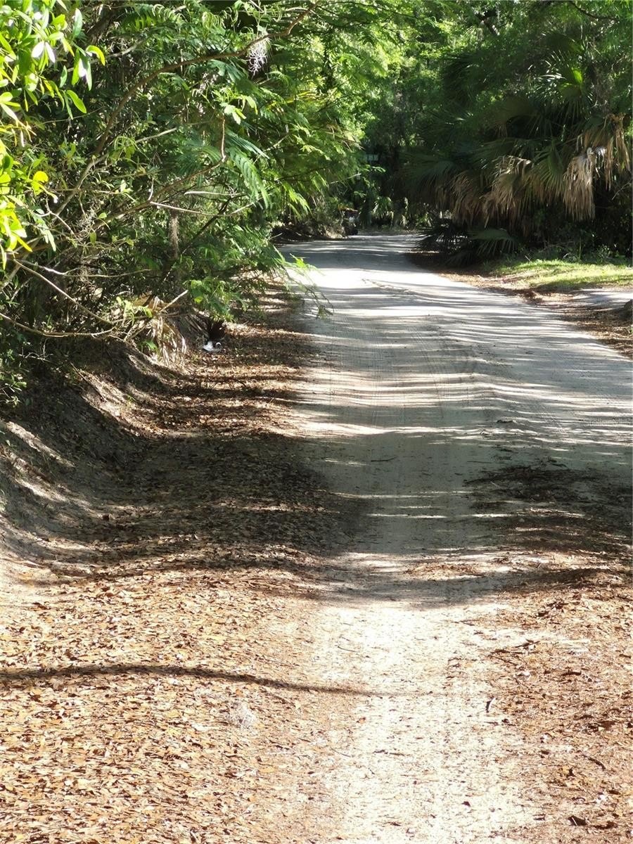 Florida Highlands Treed Lot