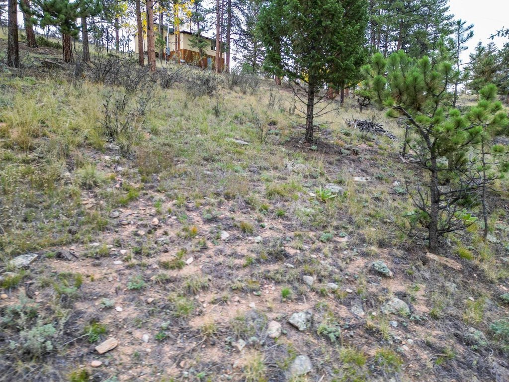 Picture 15
