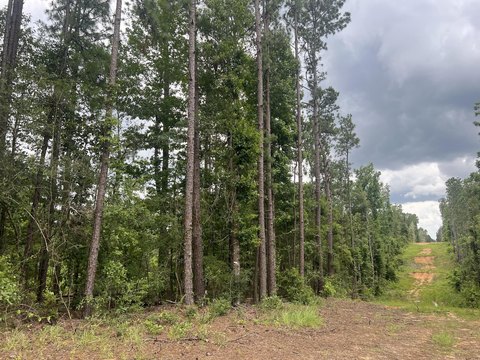 Lumberton, MS Residential Land