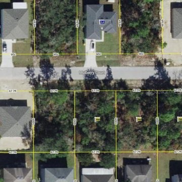 Residential Land in Poinciana, FL