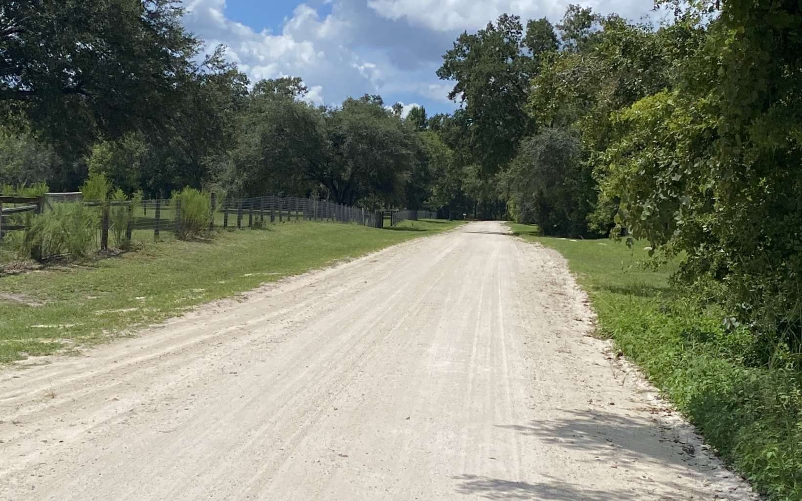 McAlpin, Florida Agricultural Land
