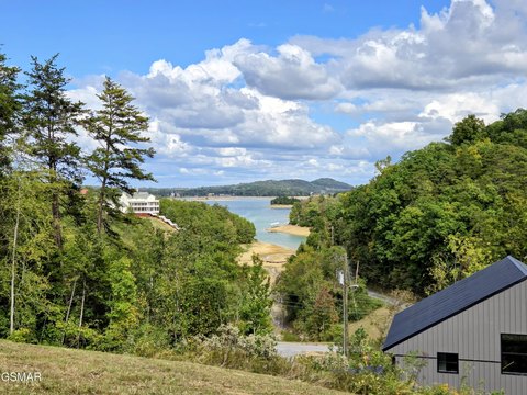 Land, Sevierville, TN