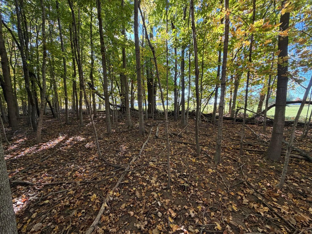 Picture 10