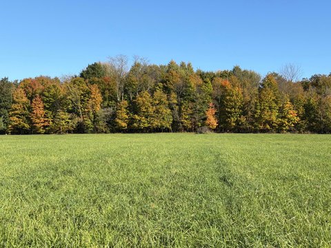 Land, Richwood, OH