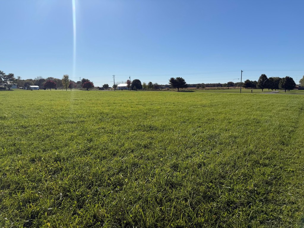 Picture 16