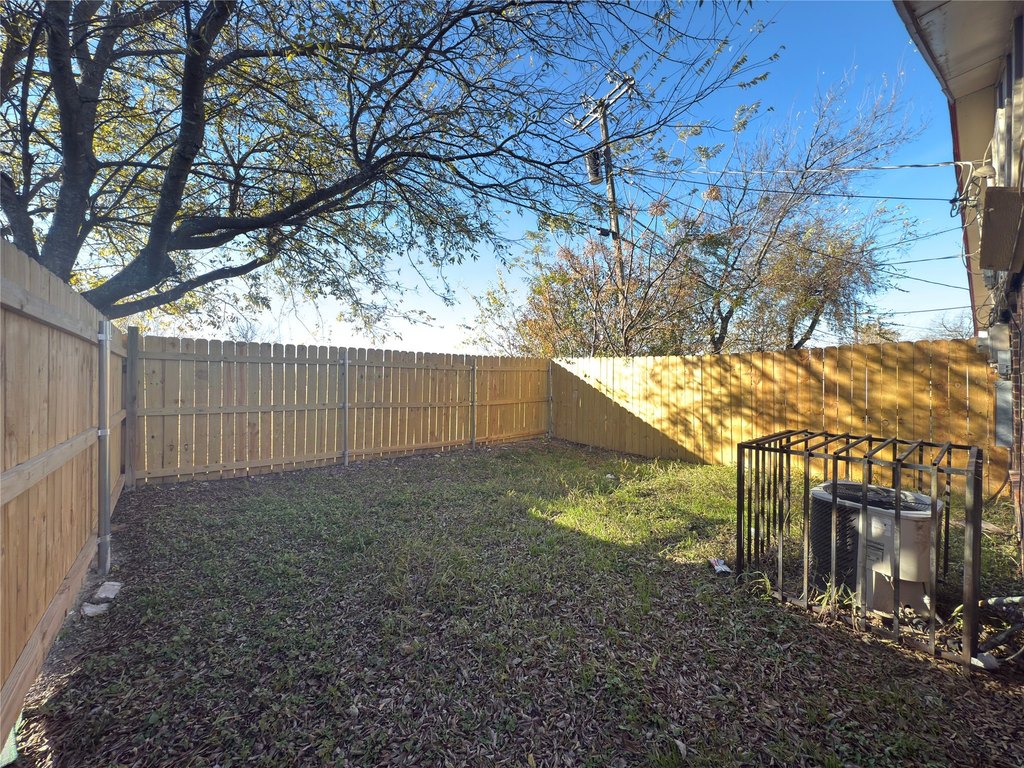 Picture 12
