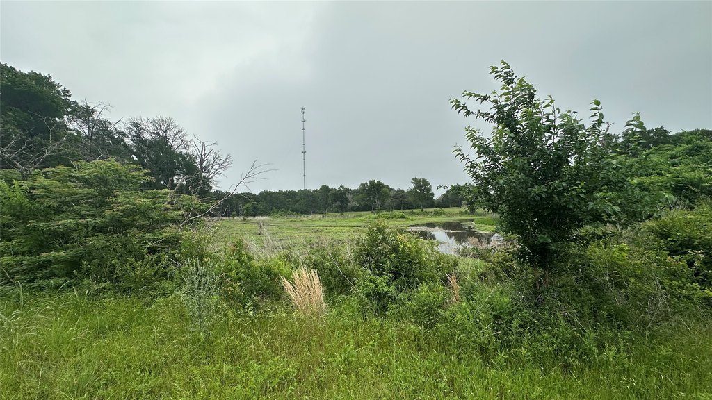 Picture 32