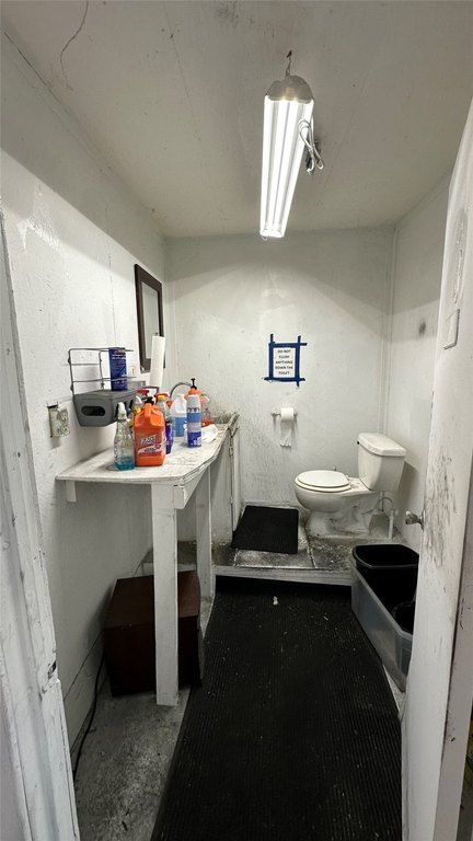 Picture 21