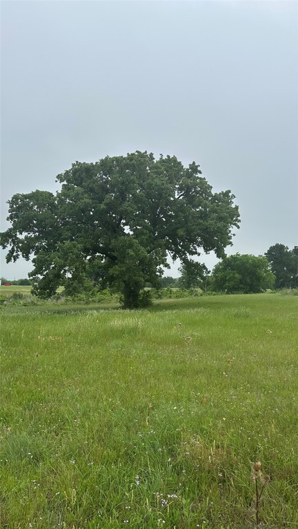 Picture 35