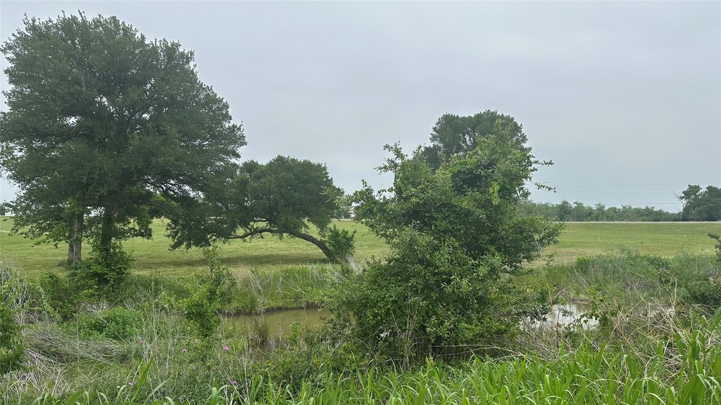 Picture 33