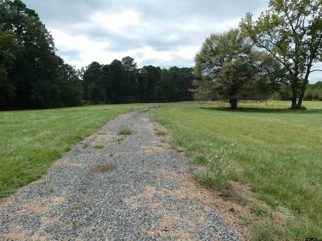 Picture 14