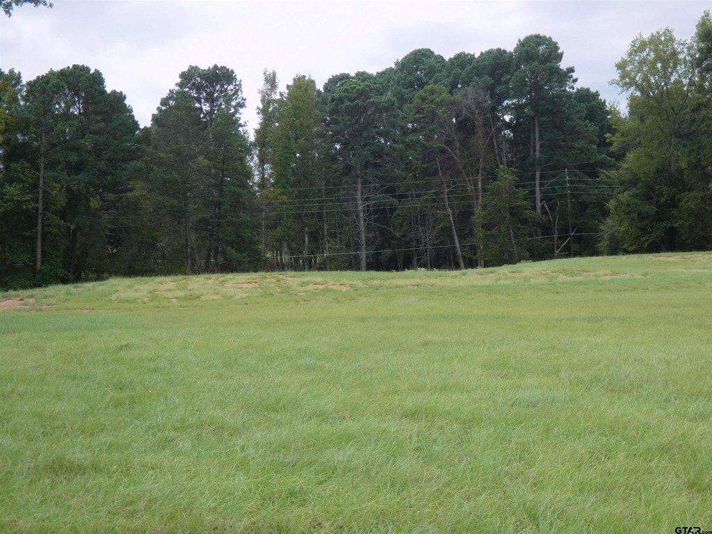 Picture 9