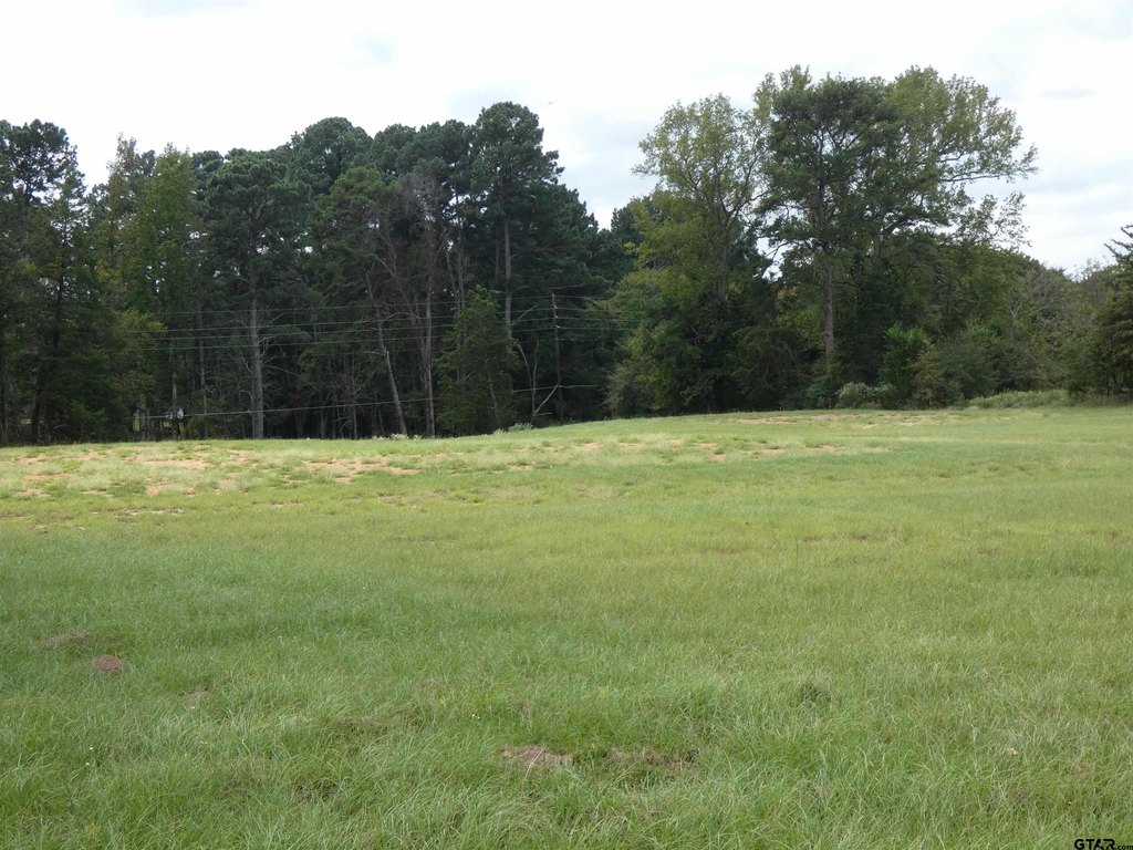 Picture 2
