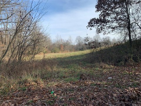 99 Acres Hunting Land, Piggott