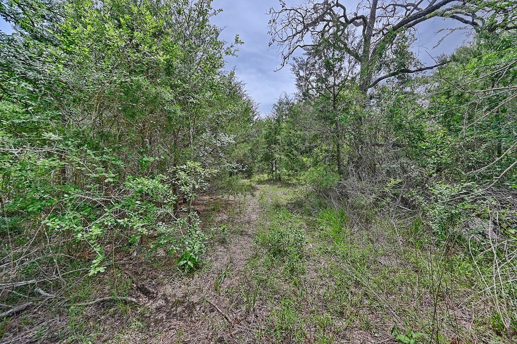 Picture 11