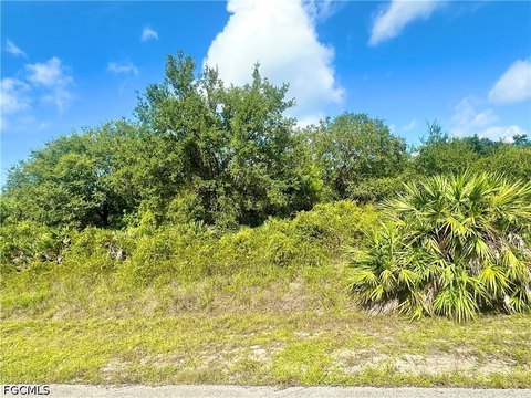 Land, Lehigh Acres, FL