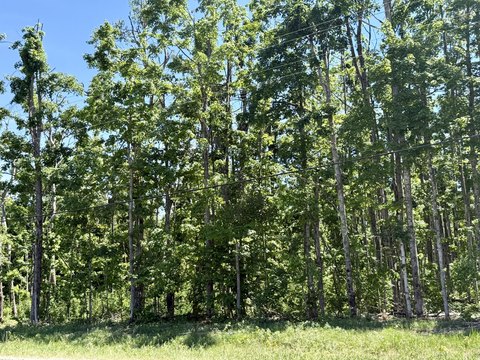 LAND - Elmira, MI
