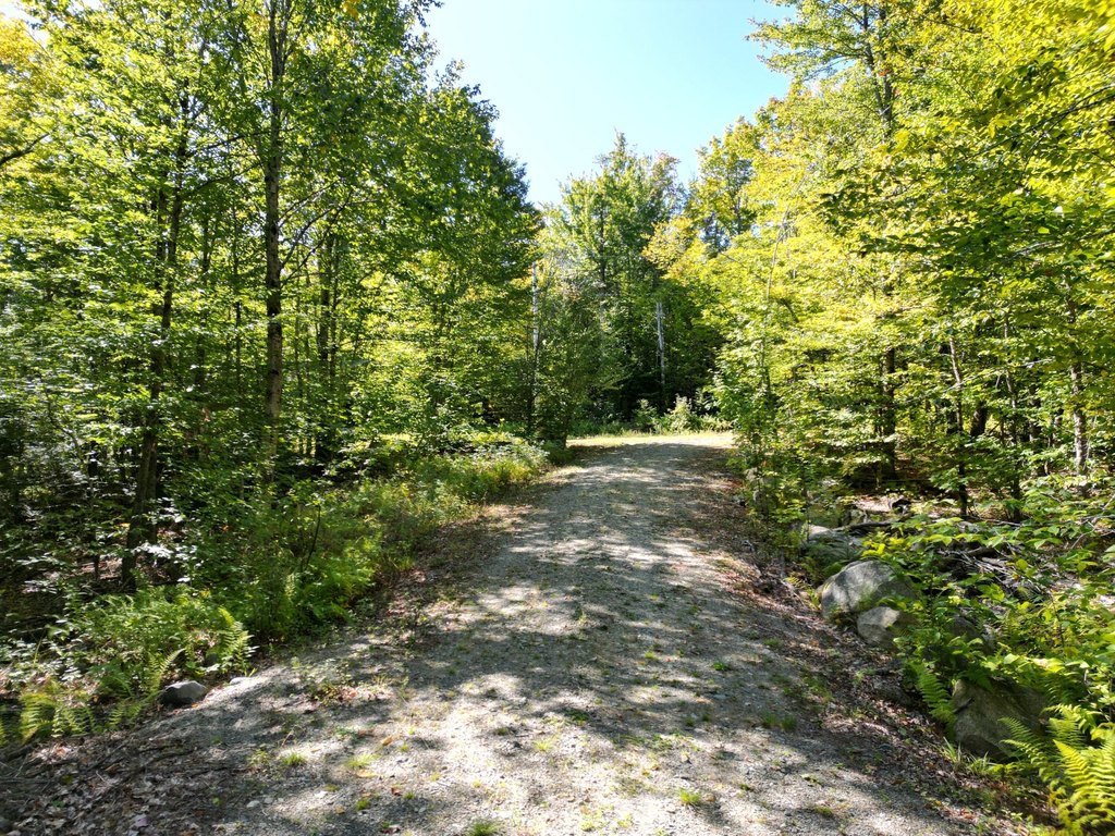 Picture 19