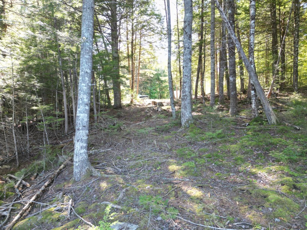 Picture 18